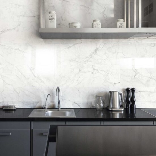 ragno imperiale 008.jpg