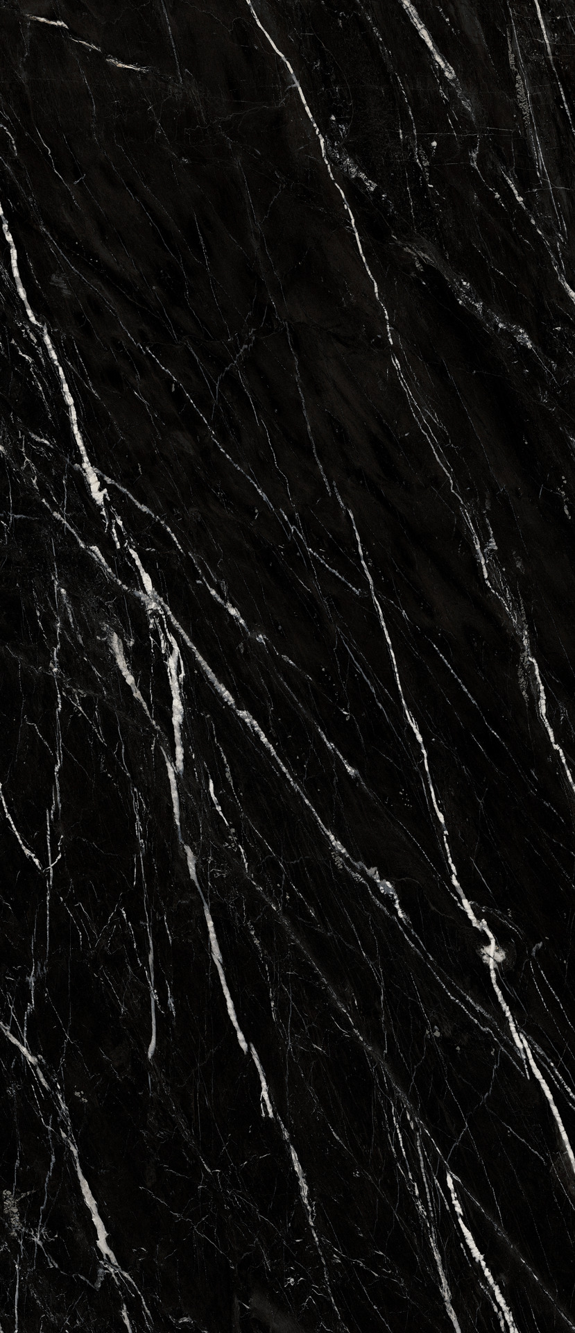 ragno incanto r8na.jpg