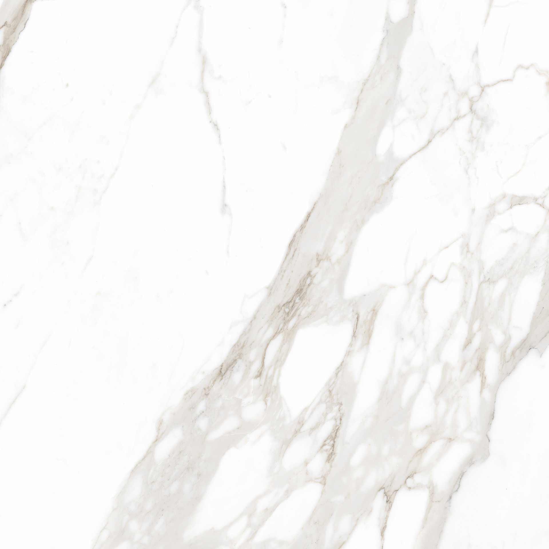 ragno incanto r8np.jpg