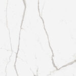 ragno incanto r8rc.jpg