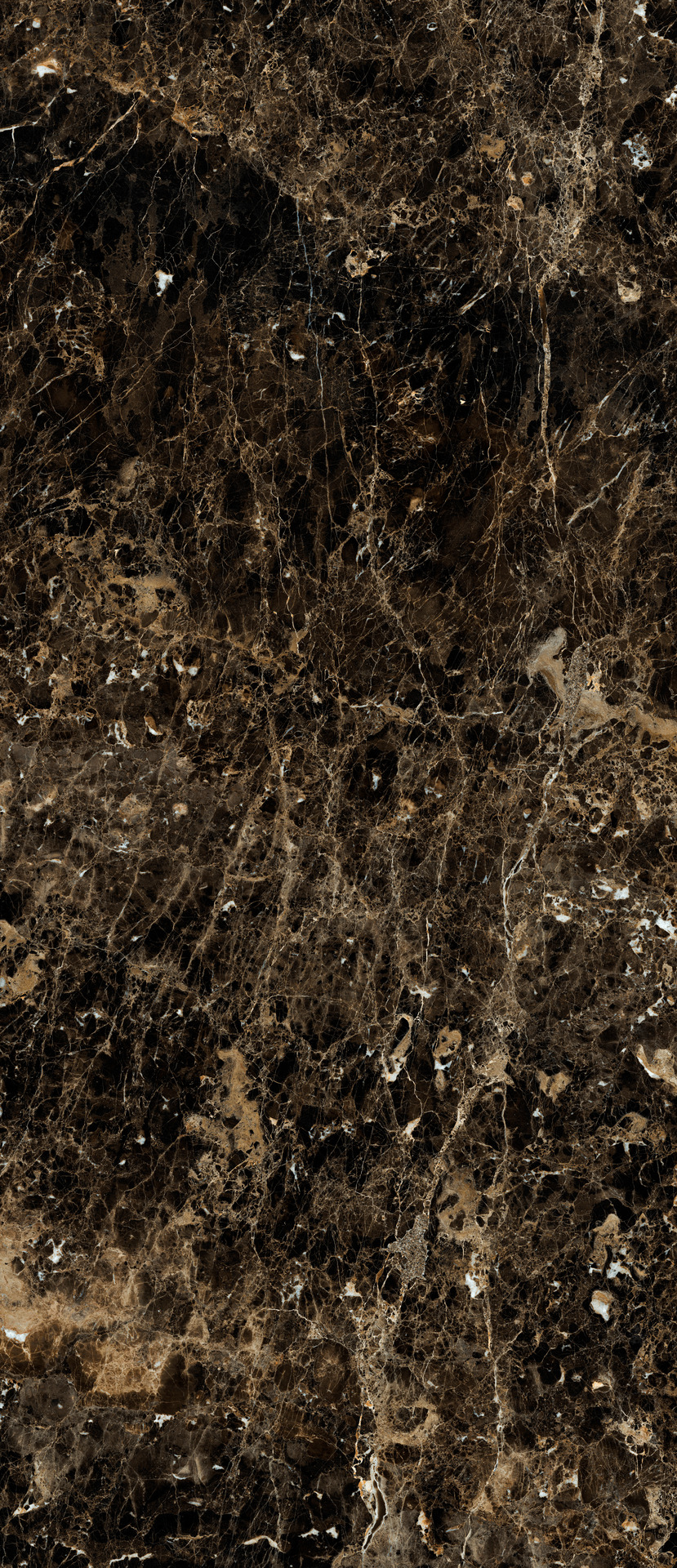 ragno incanto r8t0.jpg