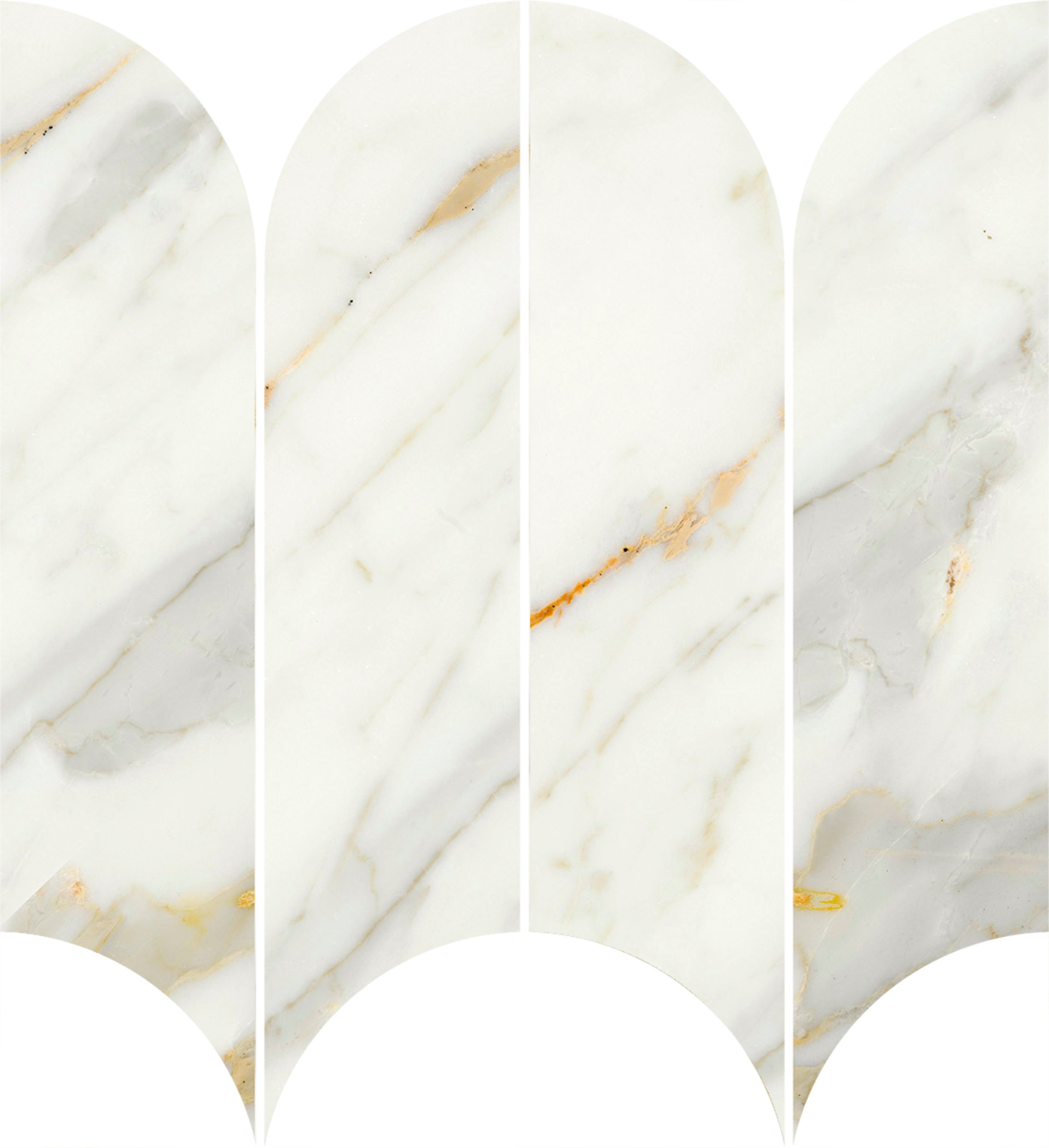 ragno incanto r9ca.jpg