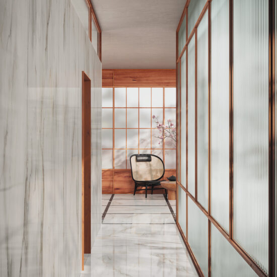 ragno incanto 020.jpg