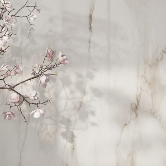 ragno incanto 023.jpg