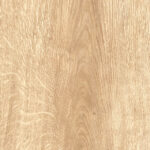 ragno inedito radl.jpg