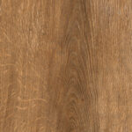 ragno inedito radn.jpg