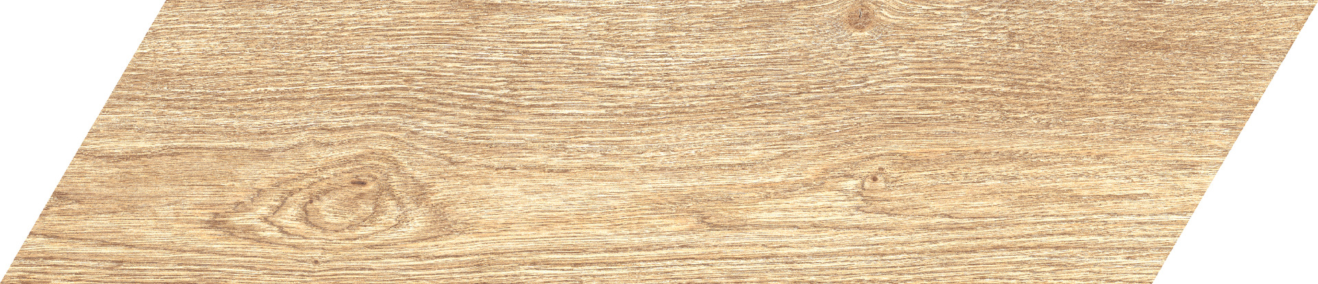 ragno inedito rc5f.jpg