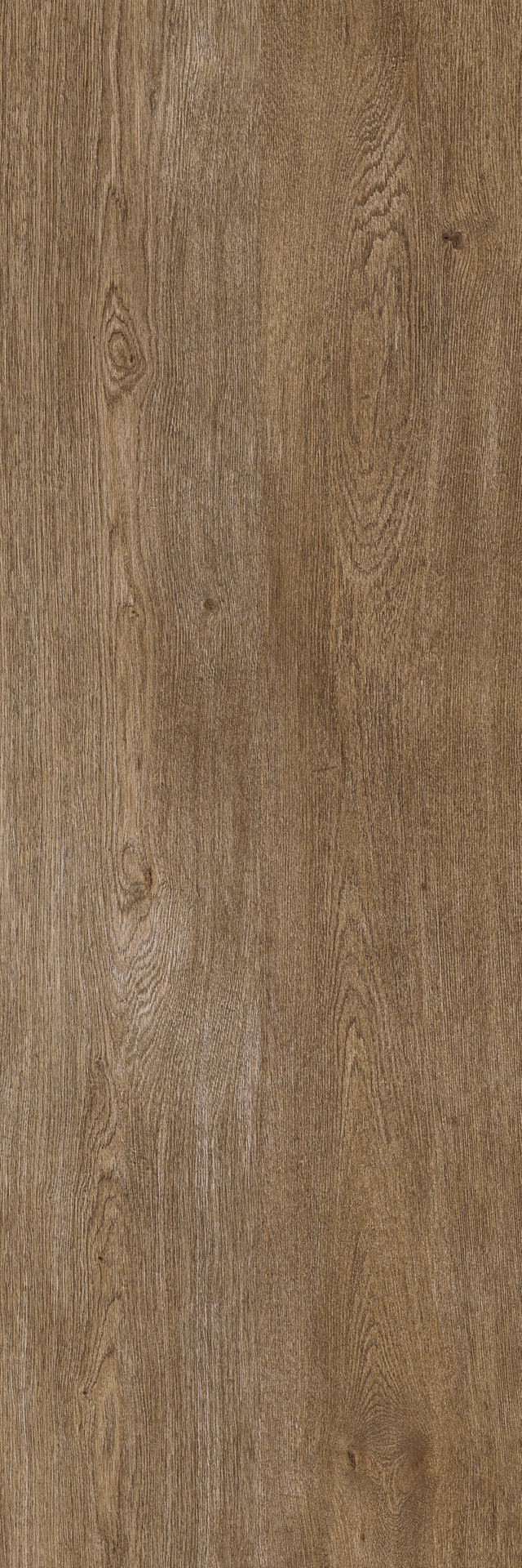 ragno inedito xt20 rarj.jpg