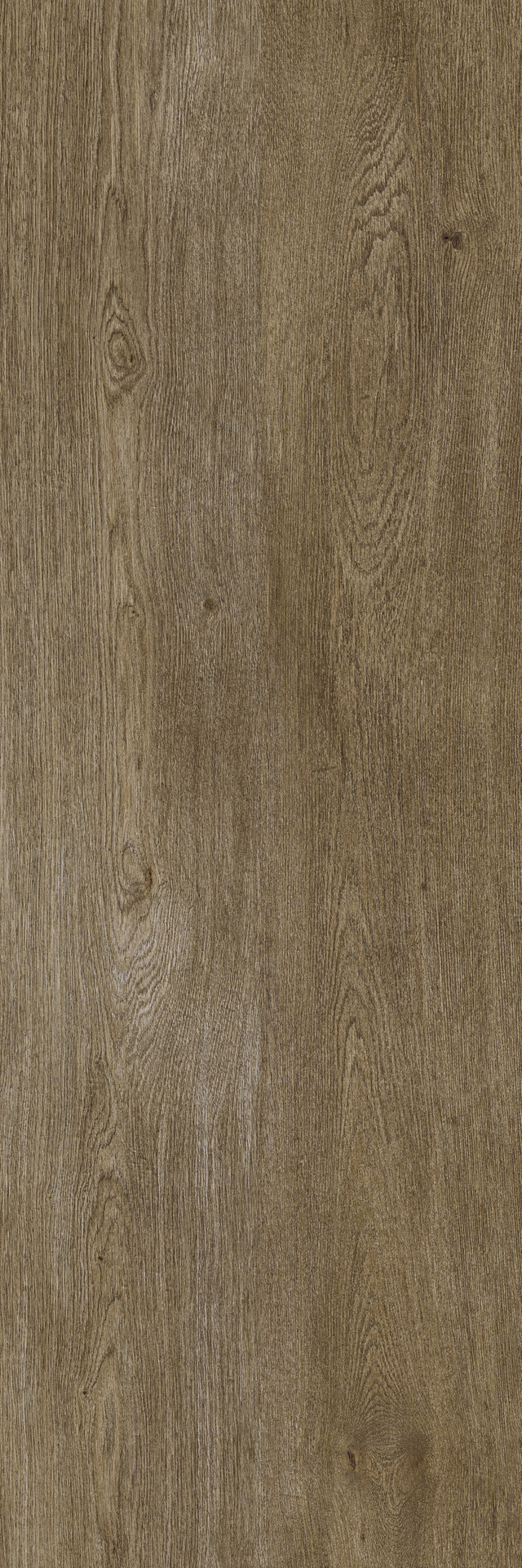 ragno inedito xt20 rarp.jpg