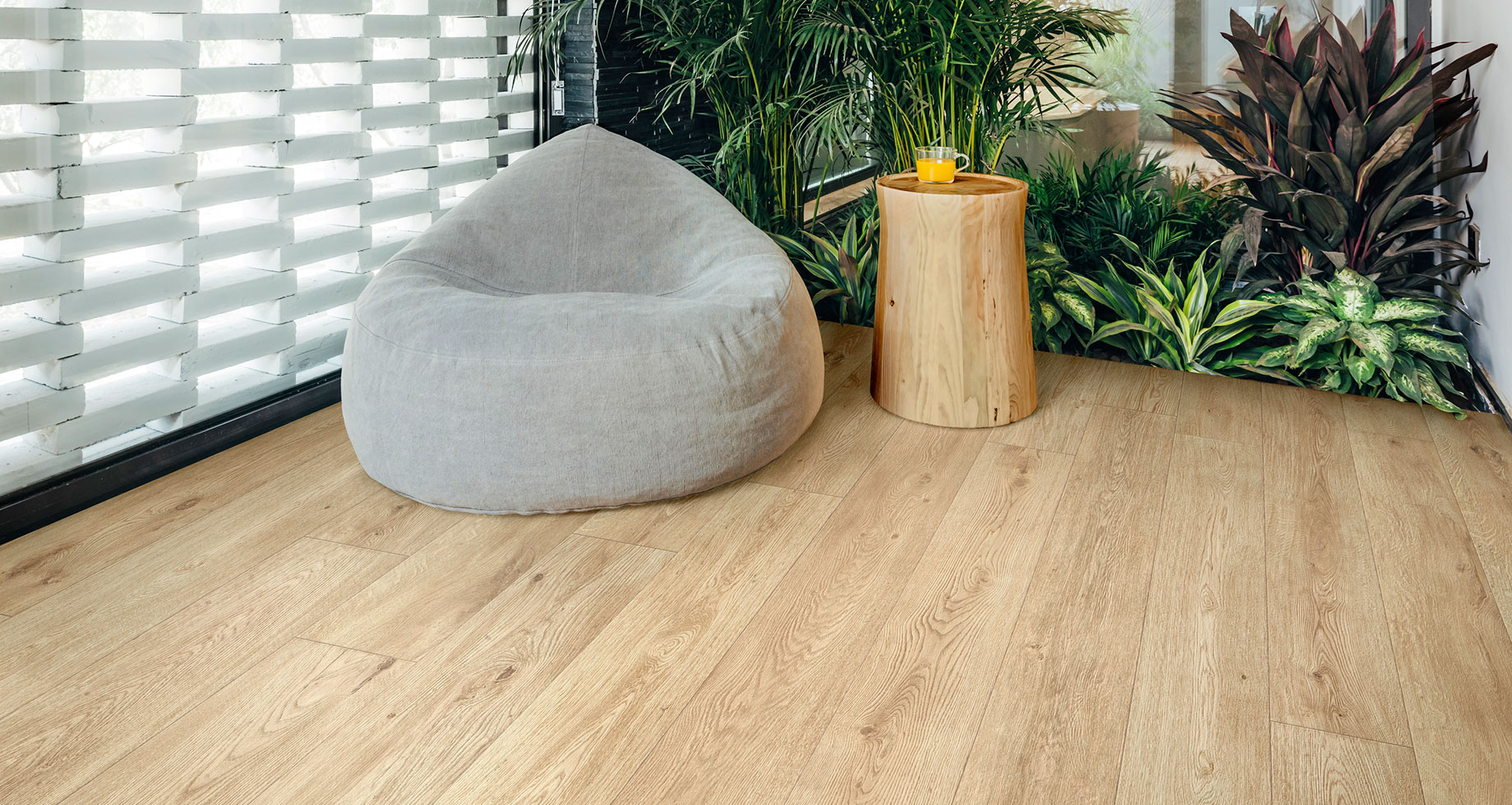 ragno inedito 000r.jpg