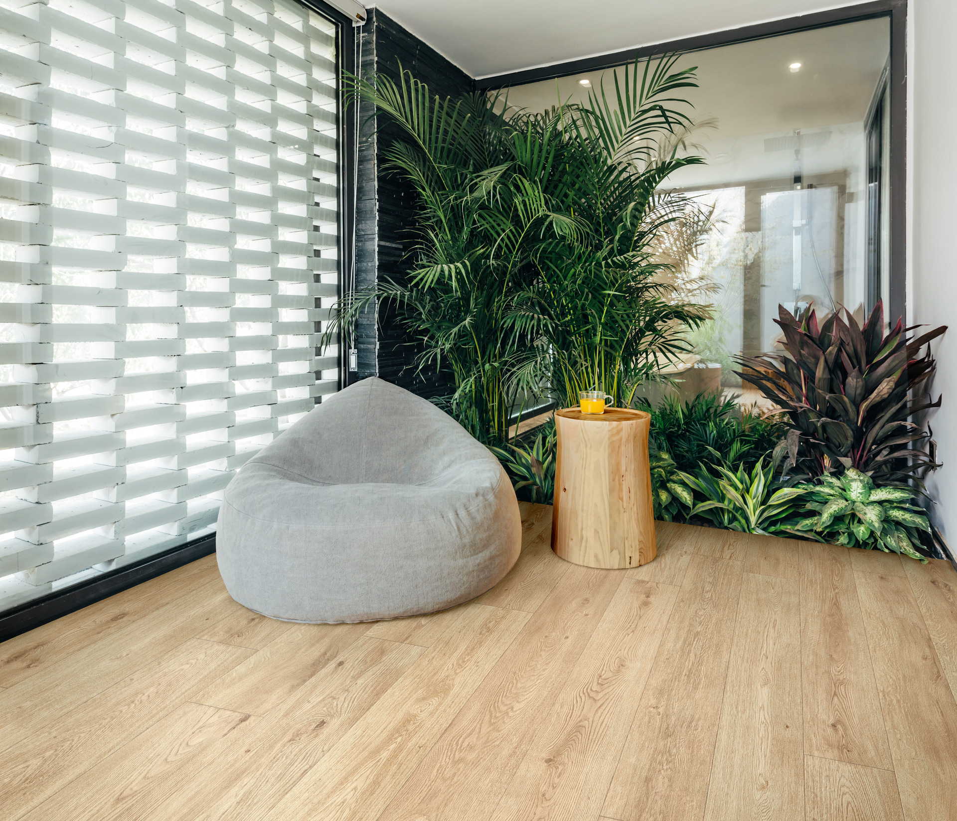 ragno inedito 002.jpg