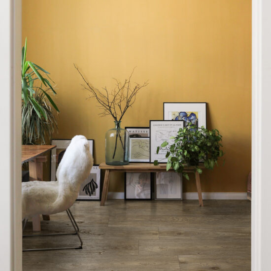 ragno inedito 004.jpg