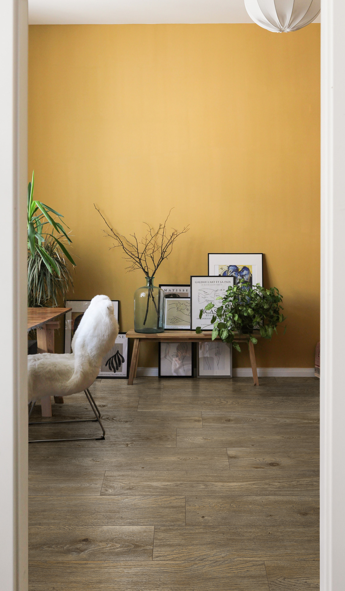 ragno inedito 004.jpg