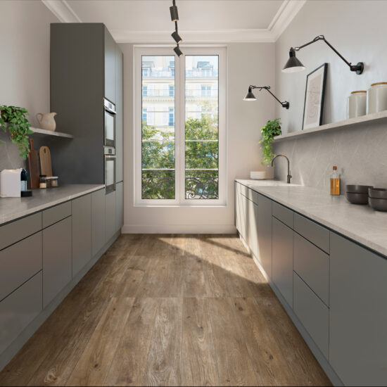 ragno inedito 007.jpg