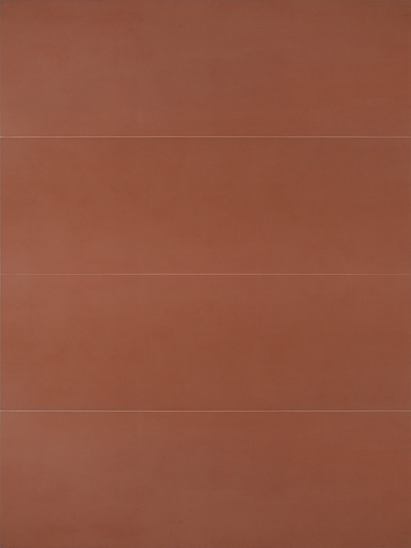 ragno lucida rcra.jpg