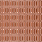 ragno lucida rcrc.jpg