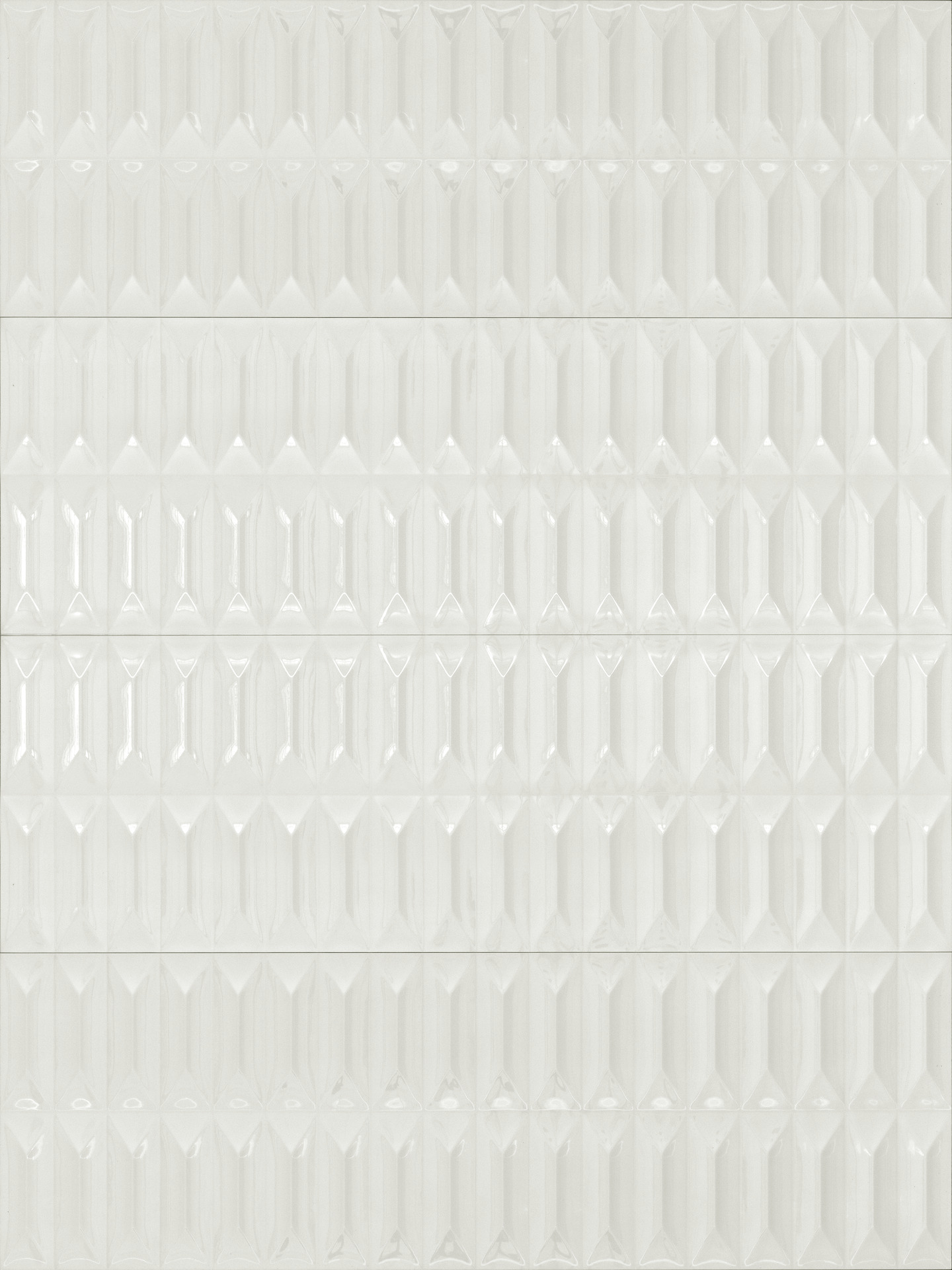 ragno lucida rcrf.jpg