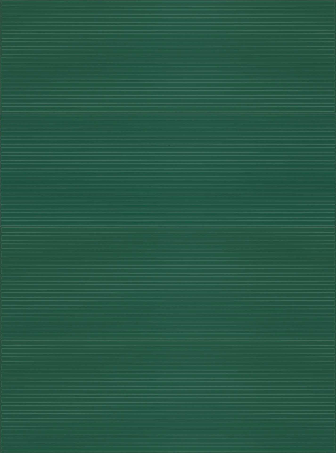 ragno lucida rcrn.jpg