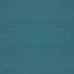 ragno lucida rcrp.jpg