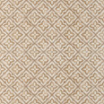 ragno lucida rcs0.jpg