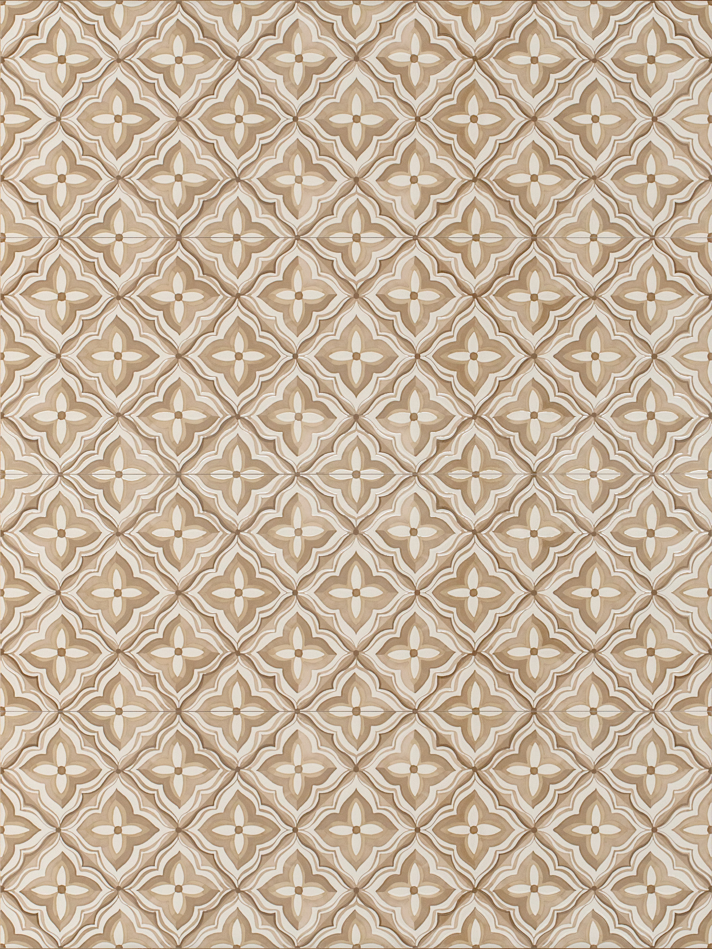 ragno lucida rcs0.jpg