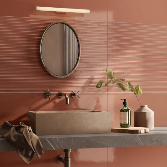 ragno lucida 004.jpg