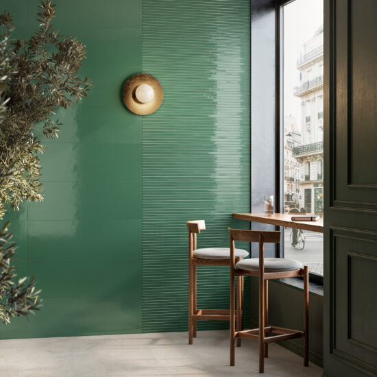 ragno lucida 011.jpg