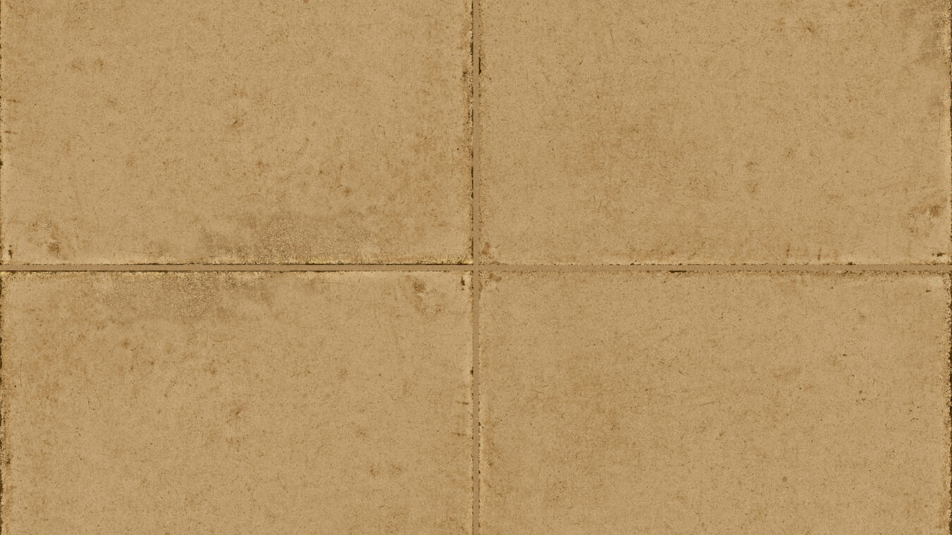 ragno ottocento rkmu.jpg