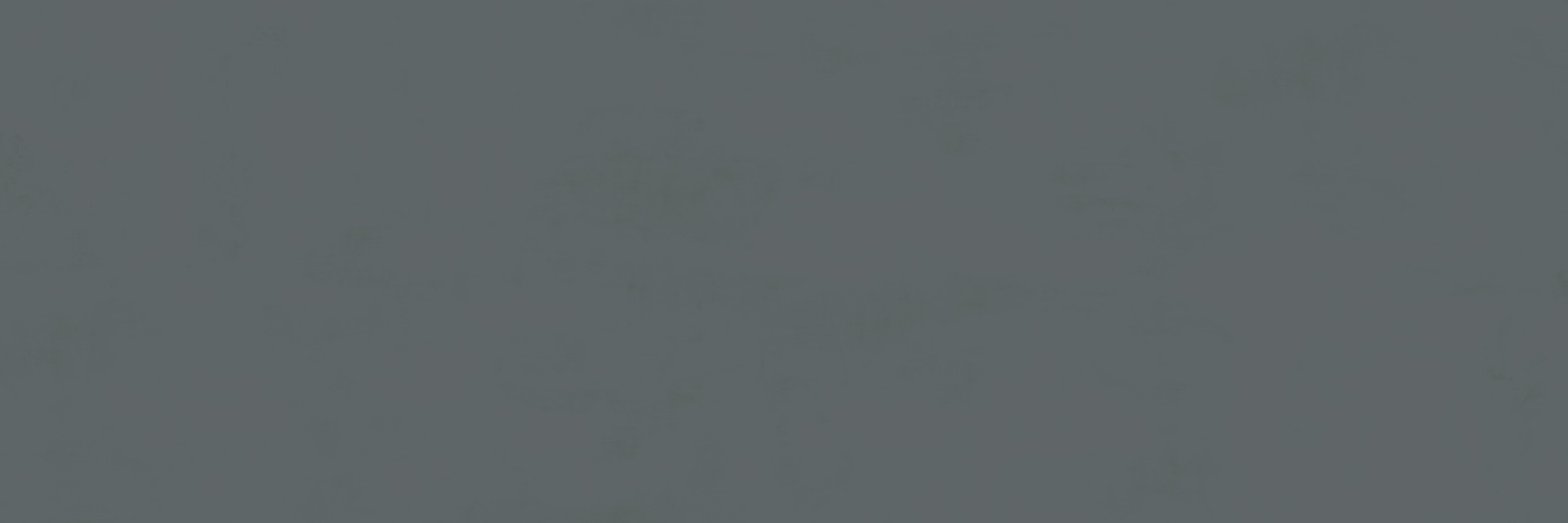 ragno papers rad6.jpg