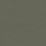 ragno papers rad7.jpg