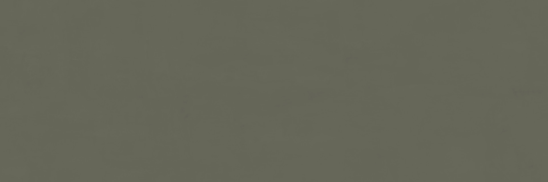 ragno papers rad7.jpg