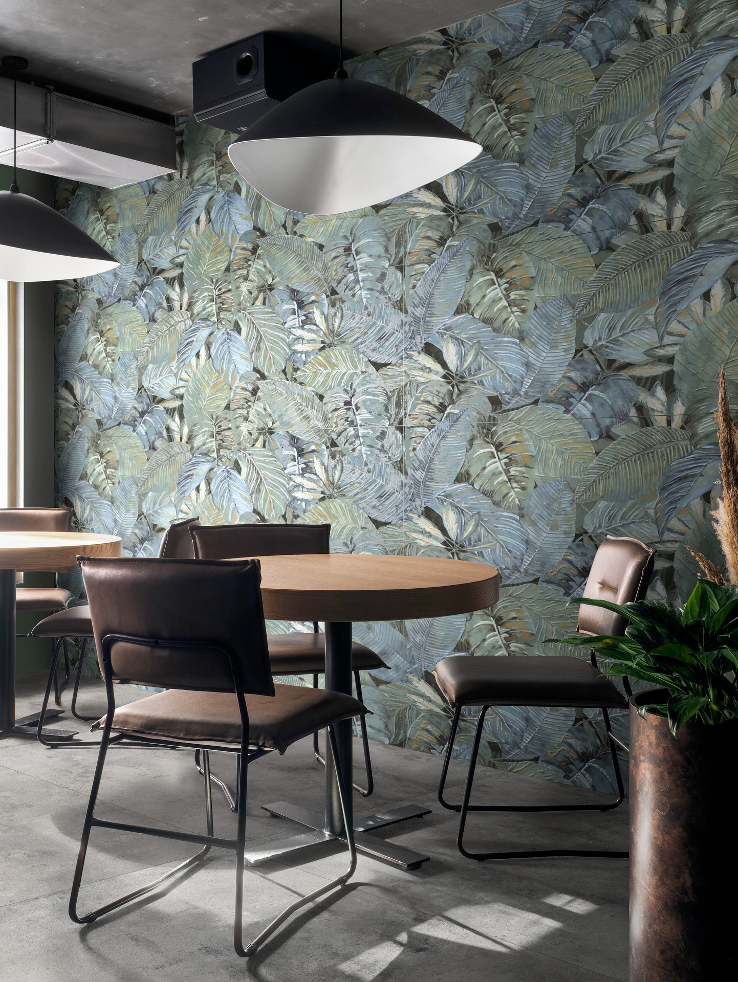 ragno papers 007.jpg