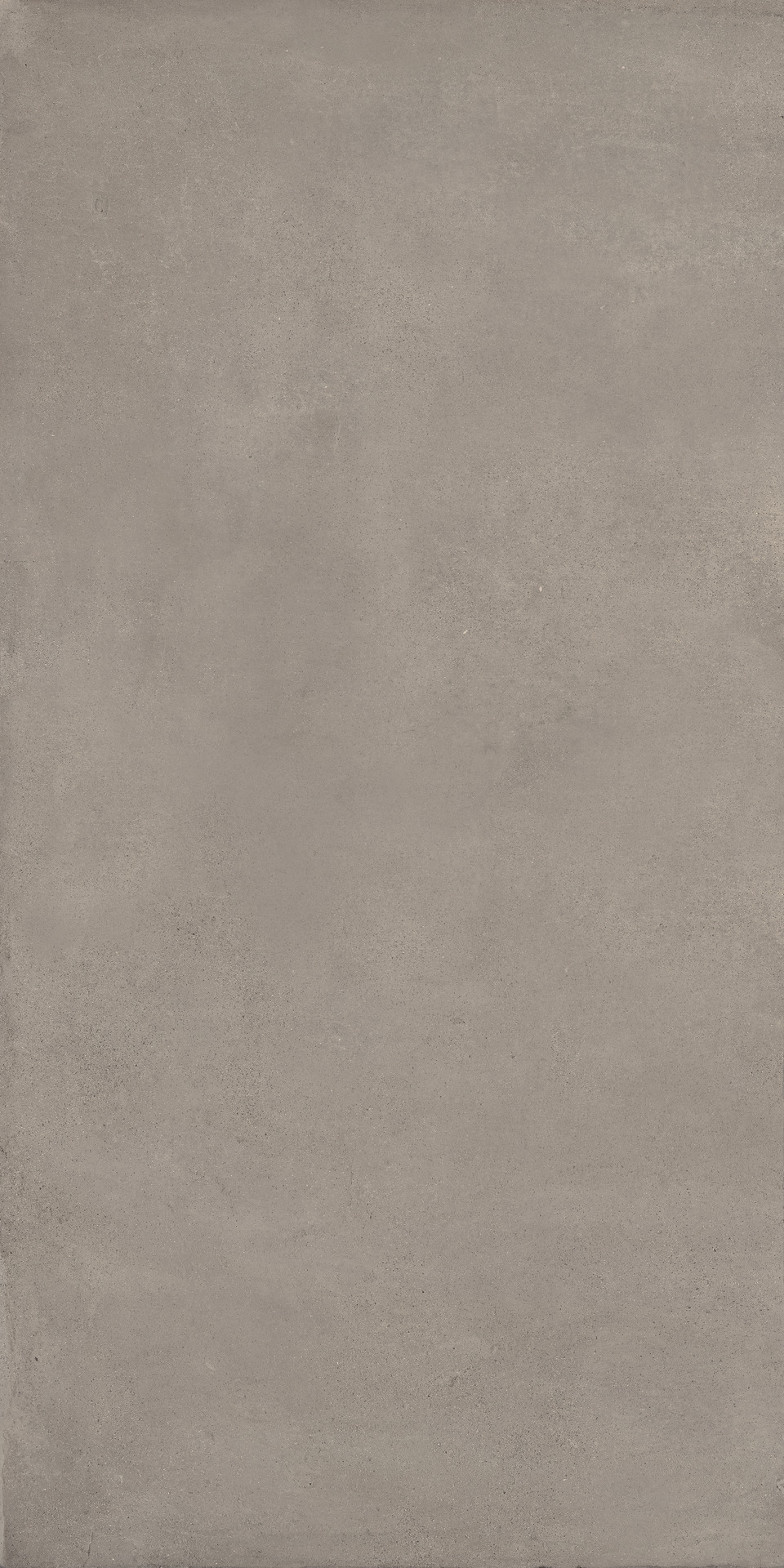 ragno replace r48n.jpg