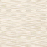 ragno resina r79k.jpg