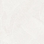 ragno richmond racy.jpg