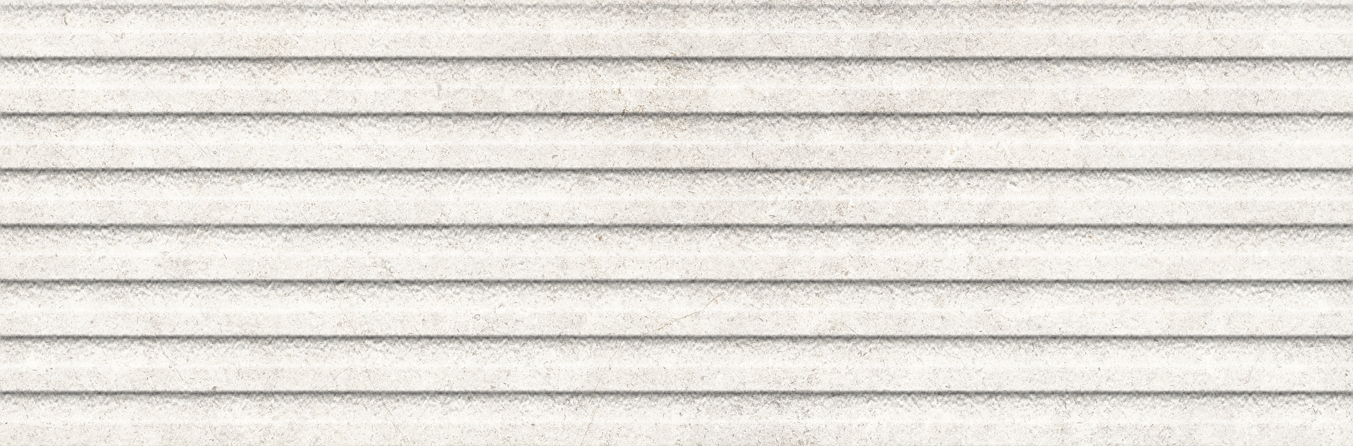 ragno richmond radd.jpg