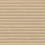 ragno richmond ram0.jpg