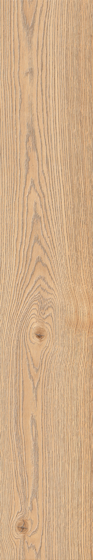 ragno secret rc6n.jpg