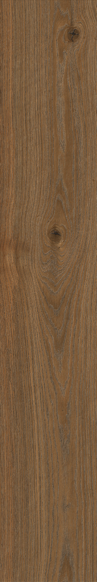 ragno secret rc6r.jpg