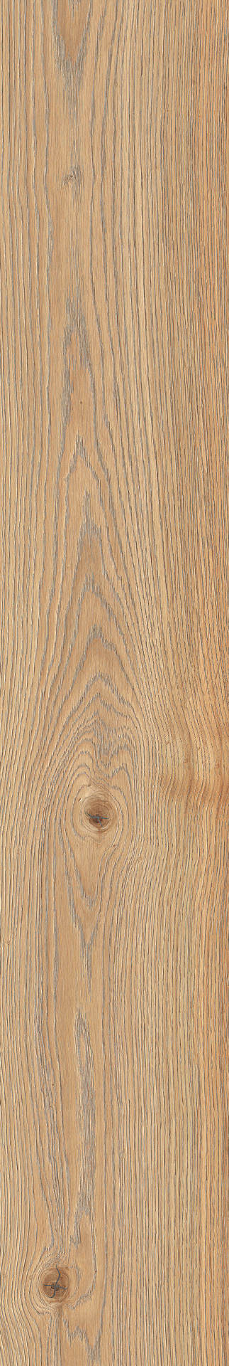 ragno secret rc6v.jpg