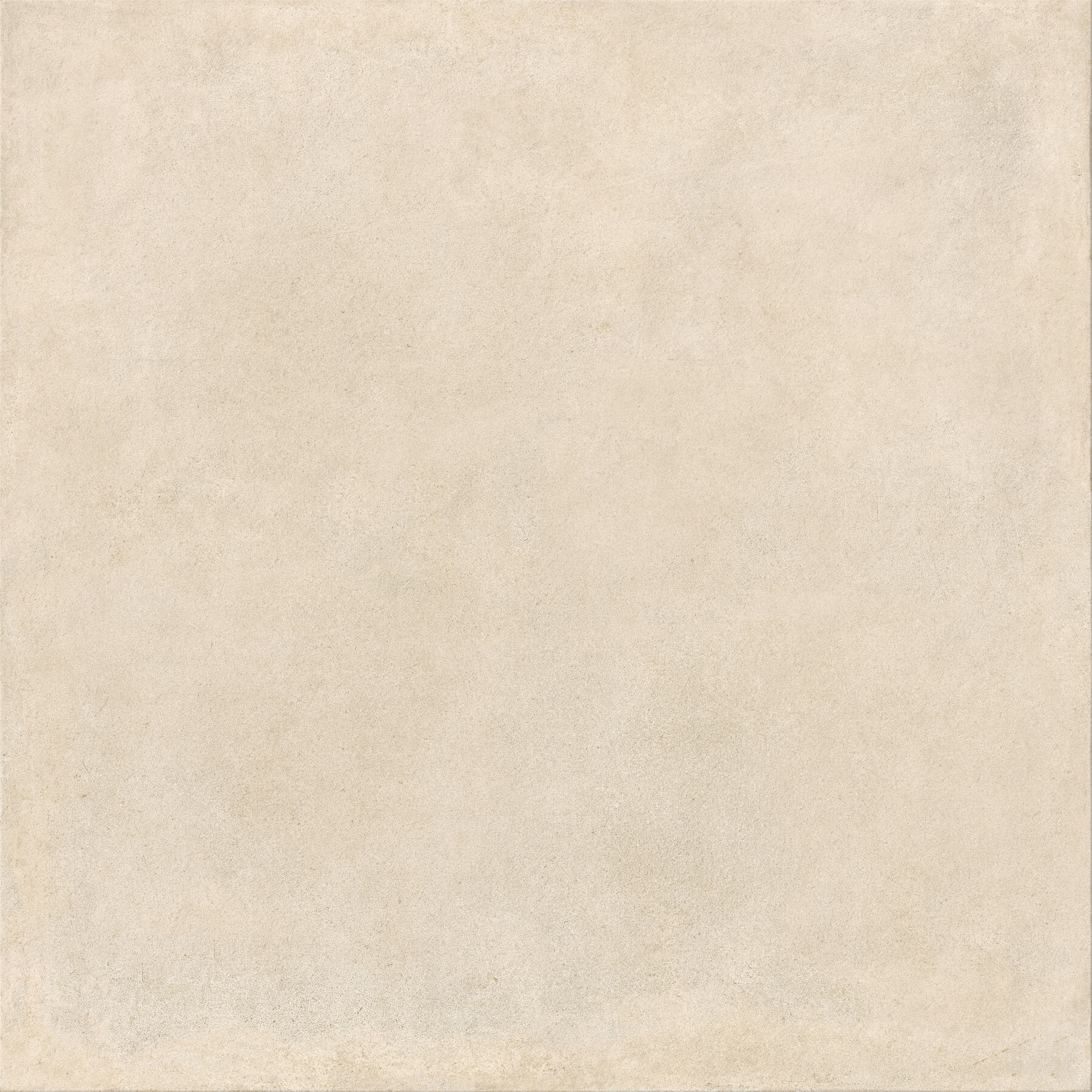 ragno solida rddr.jpg