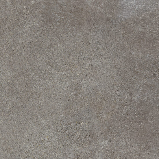 ragno studio r4qk.jpg