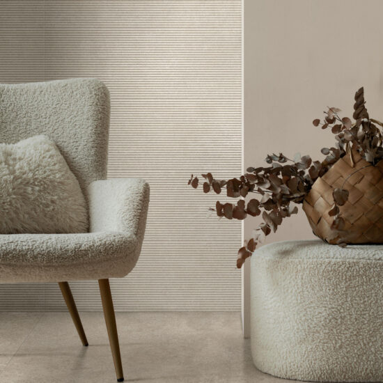 ragno tiempo 001.jpg