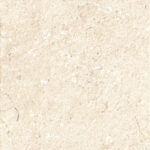 ragno viaggi rcyw.jpg