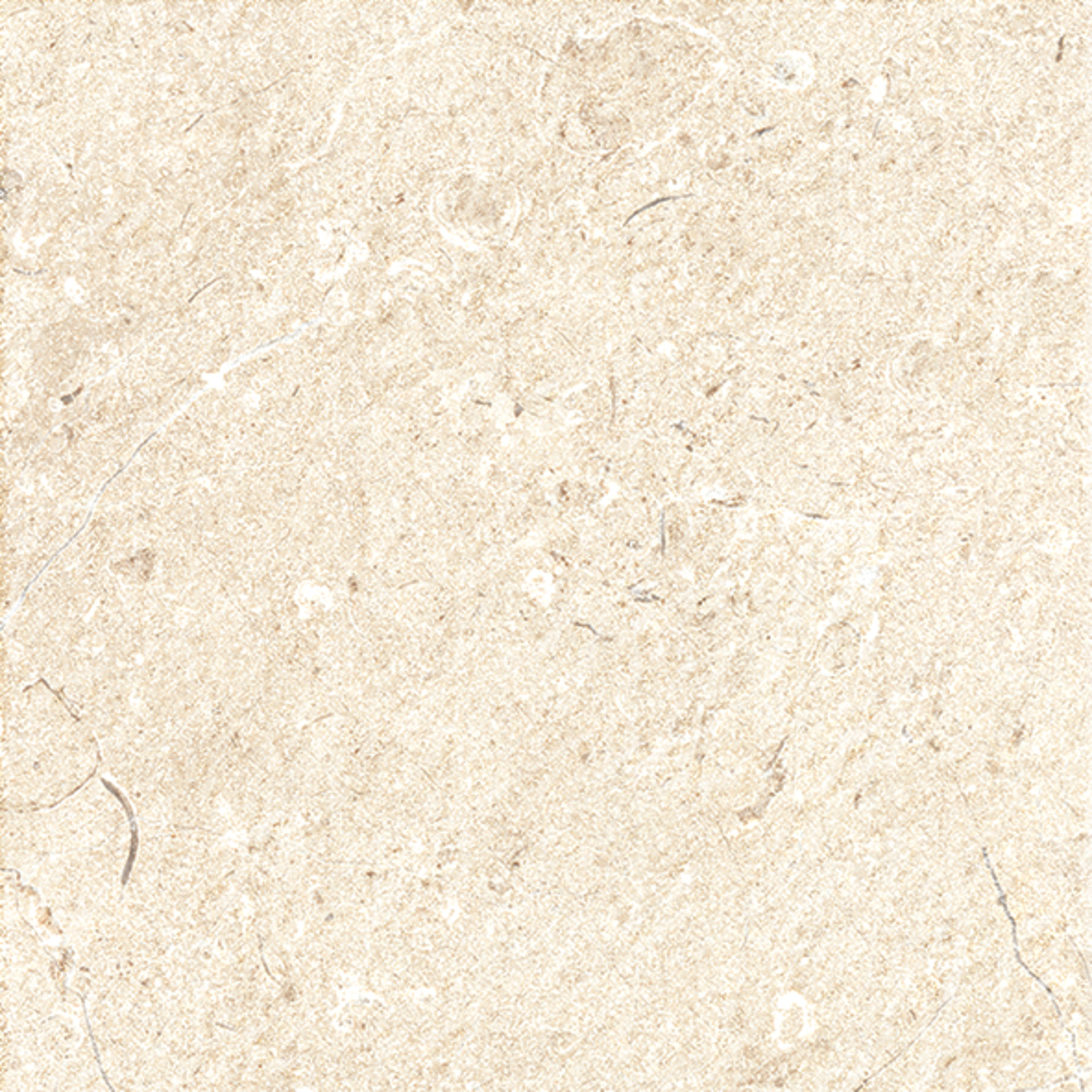 ragno viaggi rcyw.jpg