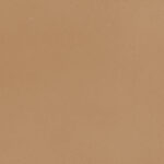 ragno viaggi rcyy.jpg