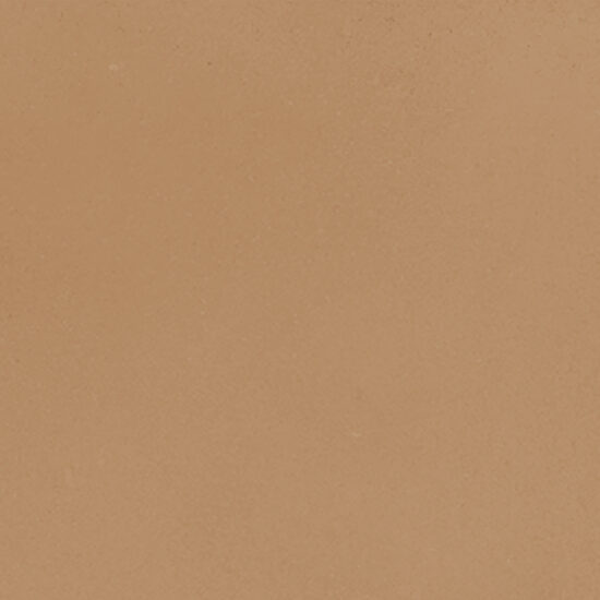 ragno viaggi rcyy.jpg