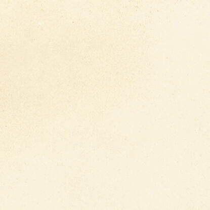 ragno viaggi rcz1.jpg