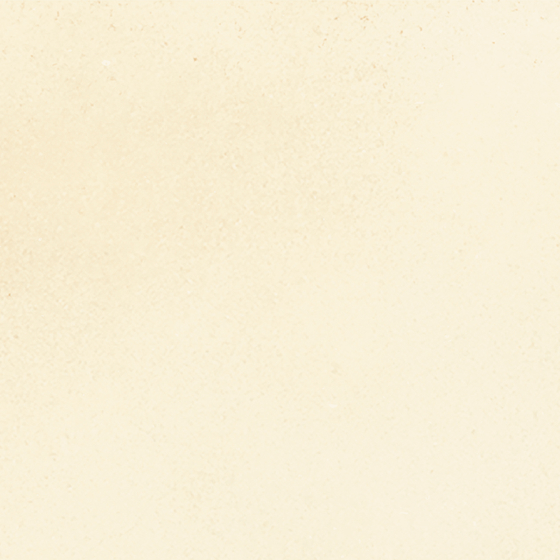 ragno viaggi rcz1.jpg