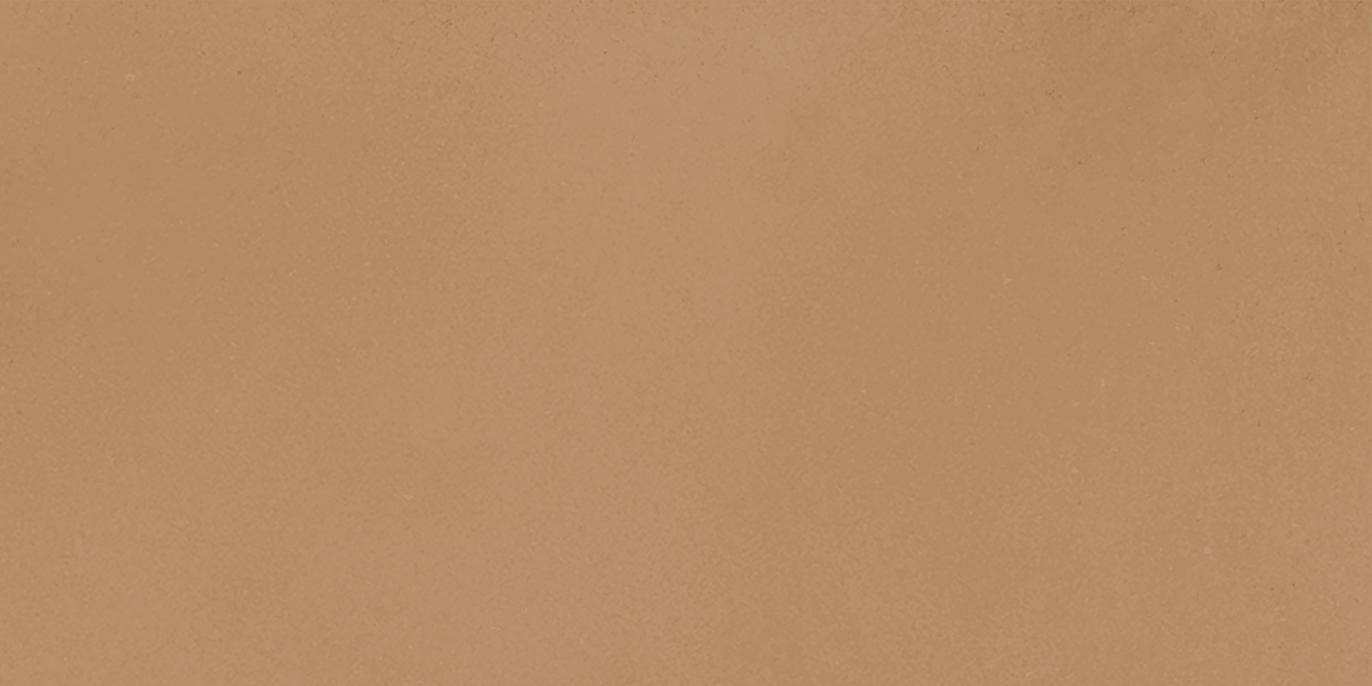 ragno viaggi rcz3.jpg